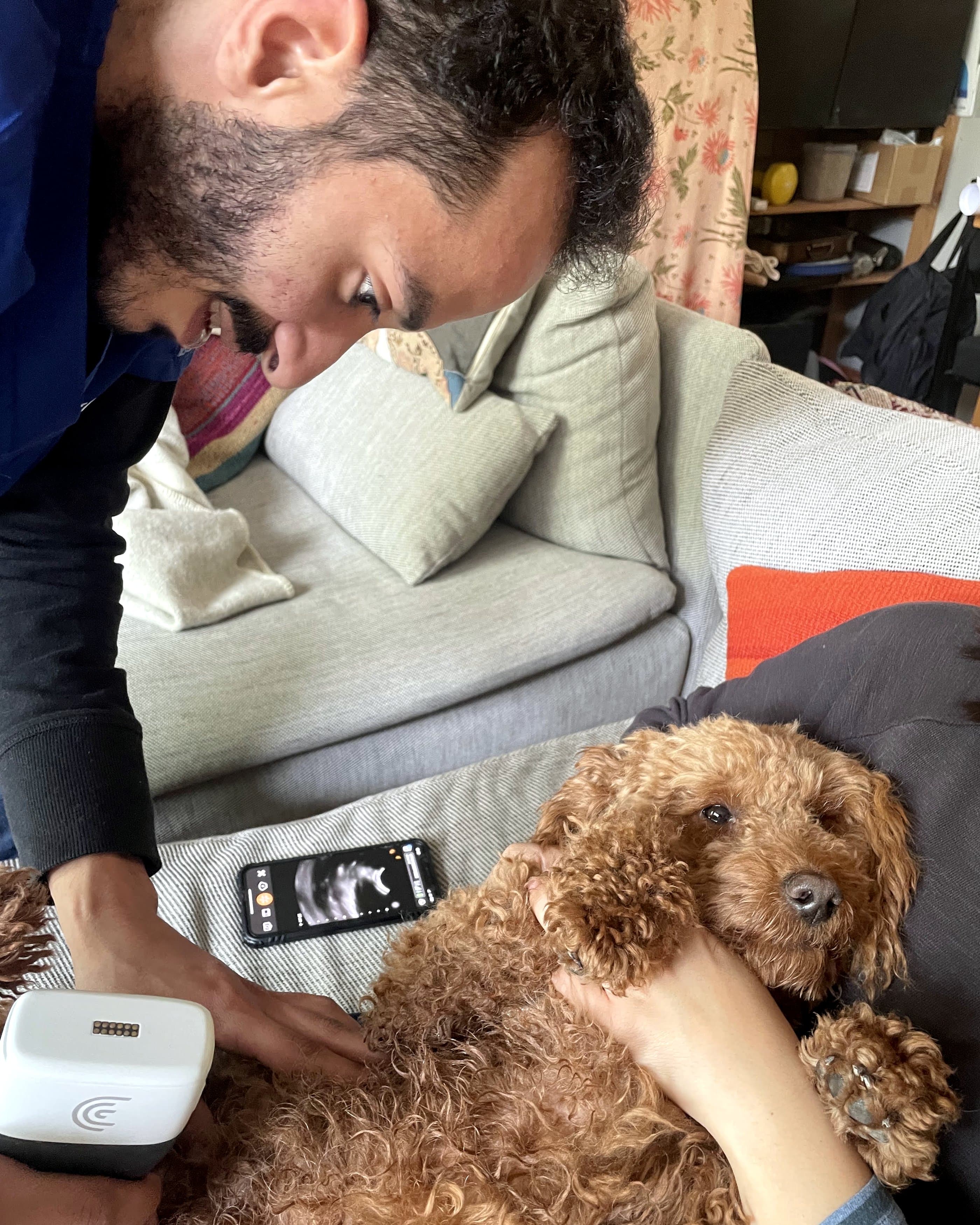 Ziad running a portable ultrasound probe while reading the scan on his phone, a cockapoo held steady beside him, during a home visit